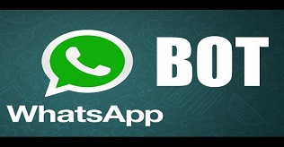 WhatsApp bot search engine 
